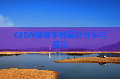 CSDN博客中的图片分享与展示